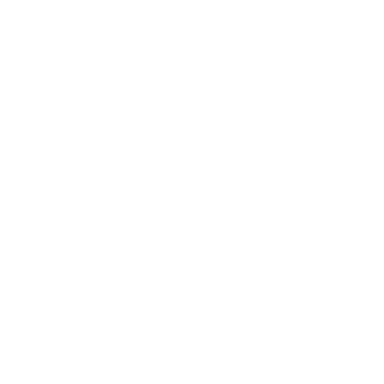 Placetel VoIP KI Icon